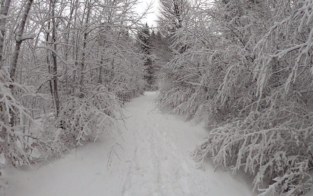 Winterbiken